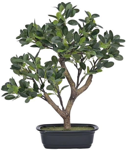 Real Touch Chinese Boxwood Plant In Pot