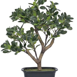 Real Touch Chinese Boxwood Plant In Pot