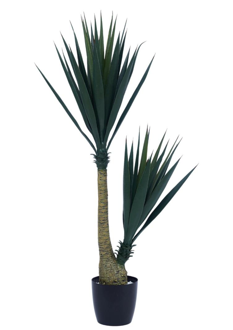 2 In 1 Sisal Plant