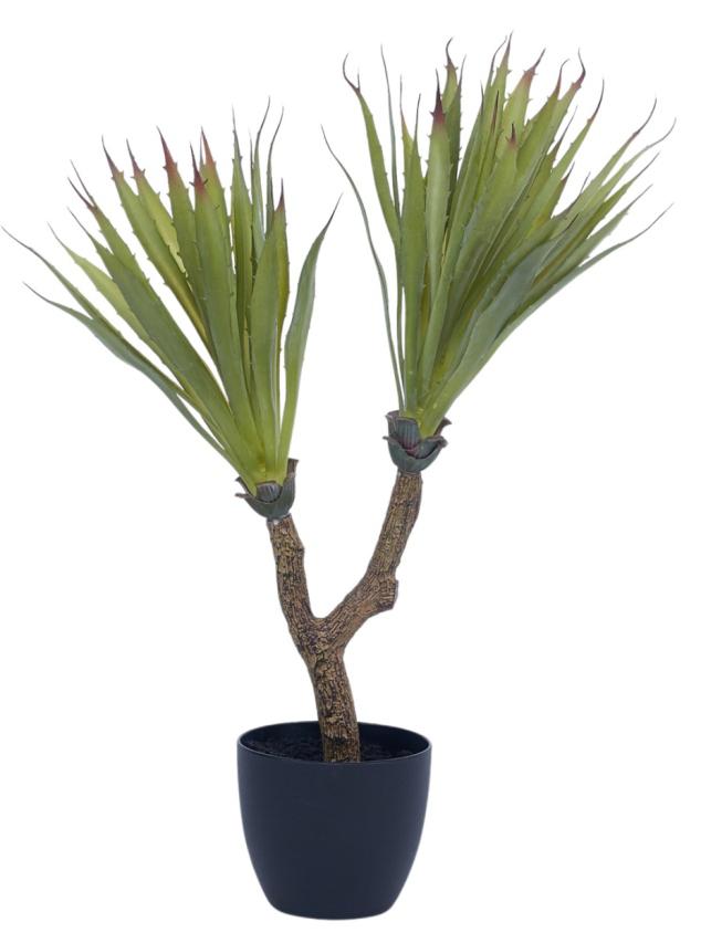 2 In 1 Sisal Yucca Plant In Pot