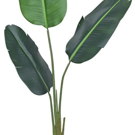 3 Stem Oval Traveller Leaf Plant In Pot