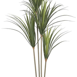 4 In 1 Pe Yucca Plant In Pot (Large)