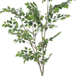 Natural Touch Modern Ficus Plant In Pot (5ft)