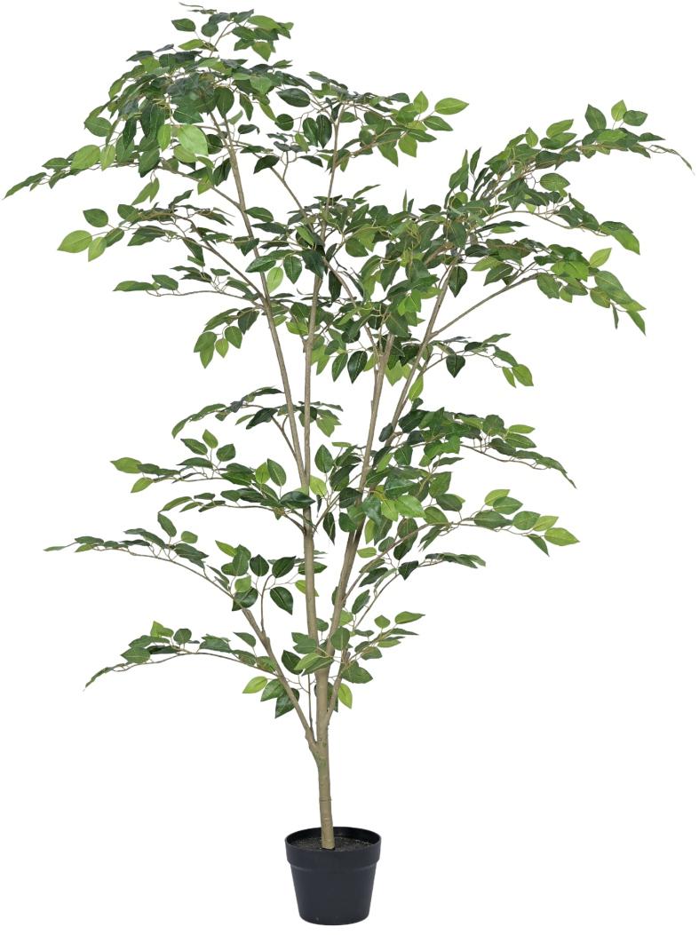 Natural Touch Modern Ficus Plant In Pot (6ft)
