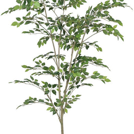 Natural Touch Modern Ficus Plant In Pot (6ft)
