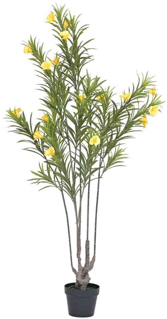 150cm Yellow Bell Lily Leaves Plant In Pot