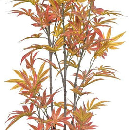 150cm Orange Mapple Plant Plant In Pot