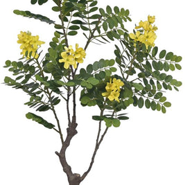 90cm Yellow Touch Me Not Leaves Plant In Pot