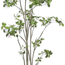 White Willow Flower Plant In Pot