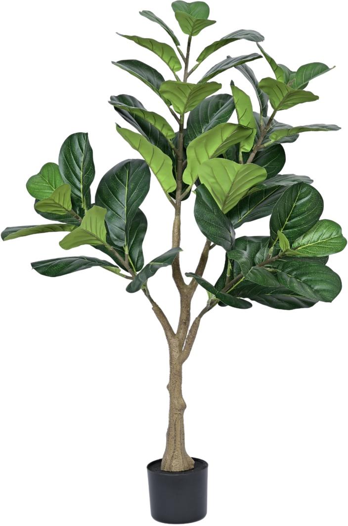 Fiddle Leaf Plant In Pot (4.3ft)