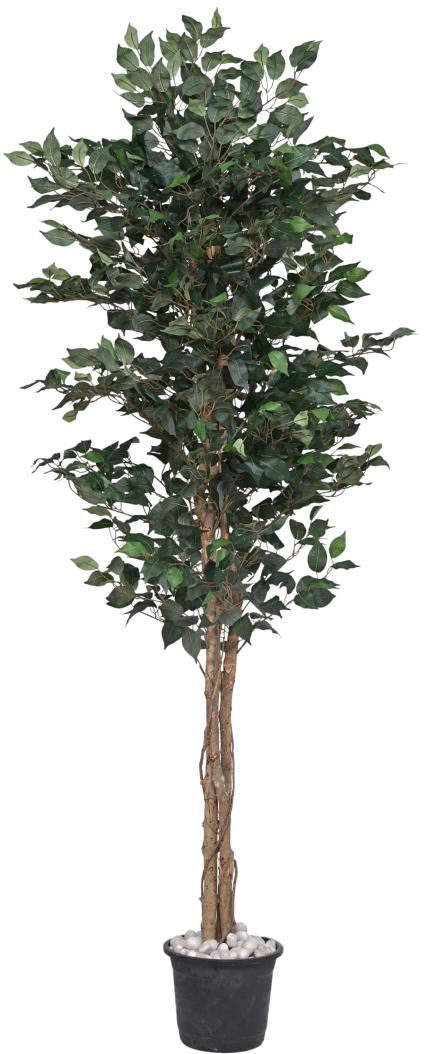 7 Feet Natural Ficus Tree | Ultra Real-Touch Artificial Plant by ...