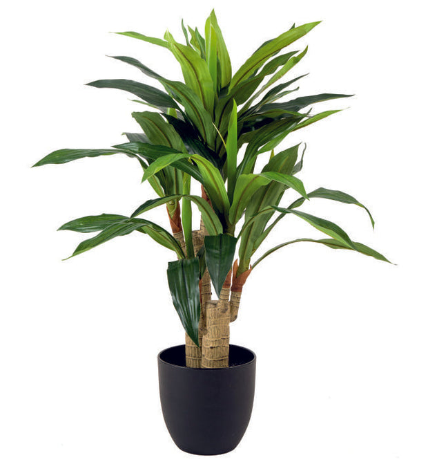 Real Touch 48 Dracenna in Pot