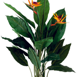 Real Touch Birds of Paradise Plant