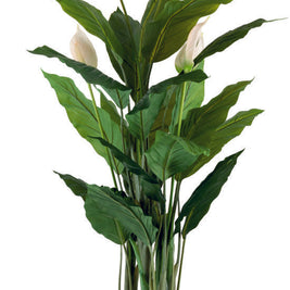 Real Touch Spathiphyllum Plant