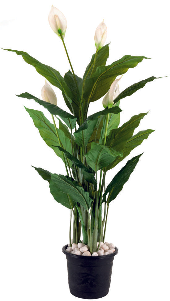 Real Touch Spathiphyllum Plant