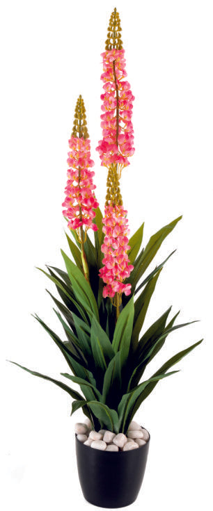 Real Touch Swordlilly Plant