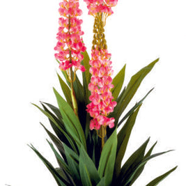 Real Touch Swordlilly Plant