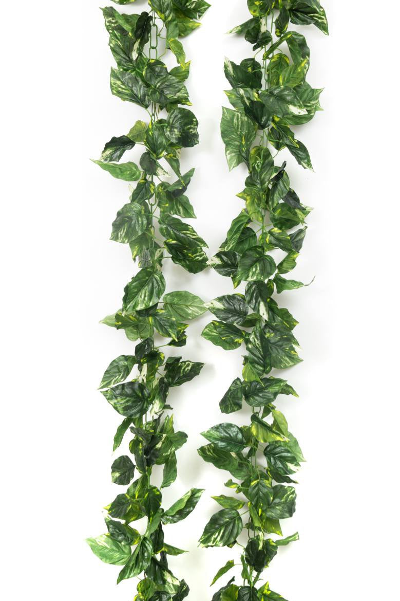 Money Plant Big Leaves Garland – 9ft
