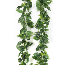 Money Plant Big Leaves Garland – 9ft