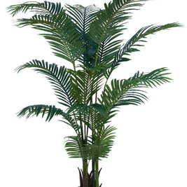 1.7m 17 Leaves Palm Tree In Pot