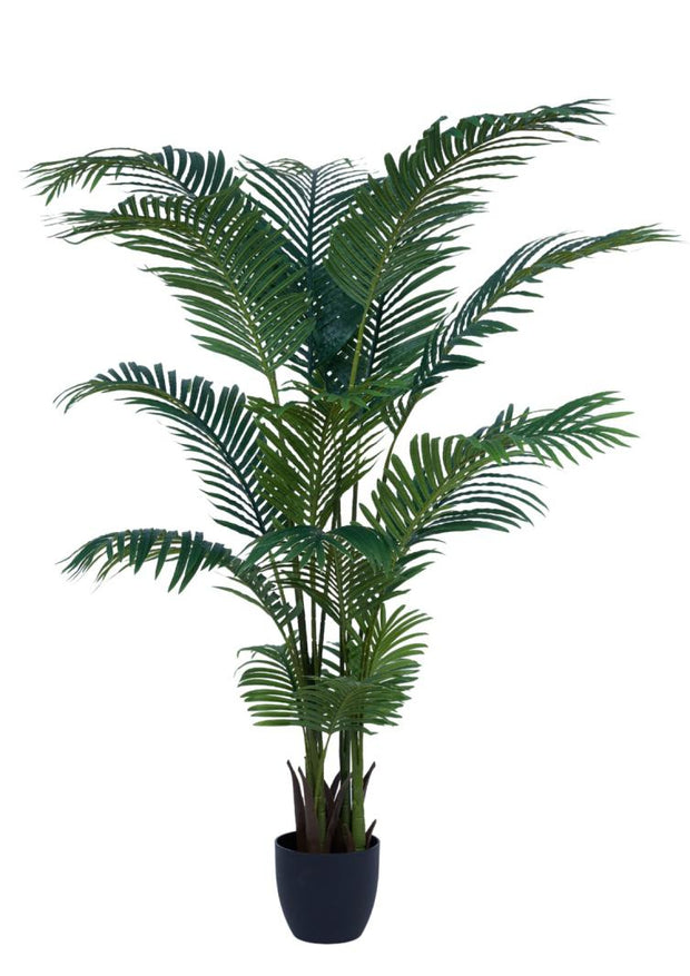 1.7m 17 Leaves Palm Tree In Pot
