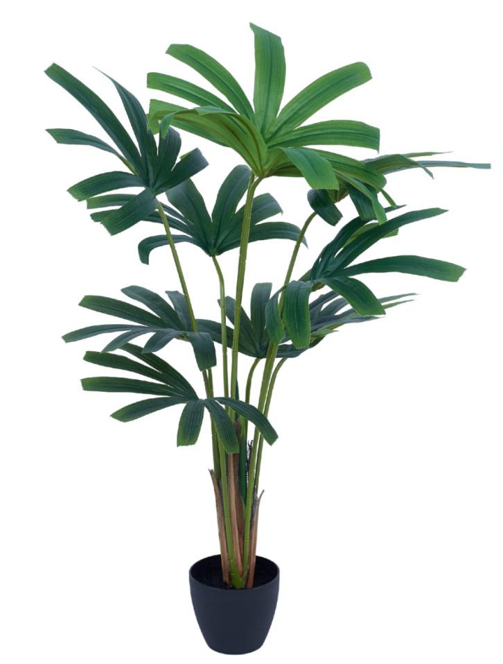 100cm 10 Leaves Raphis Palm In Pot