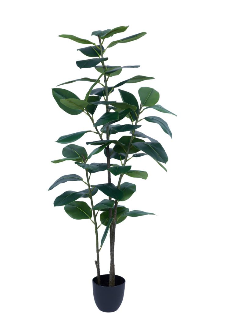 160cm 3 Head 5 Leaves Rubber Tree In Pot