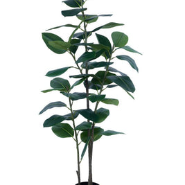 160cm 3 Head 5 Leaves Rubber Tree In Pot