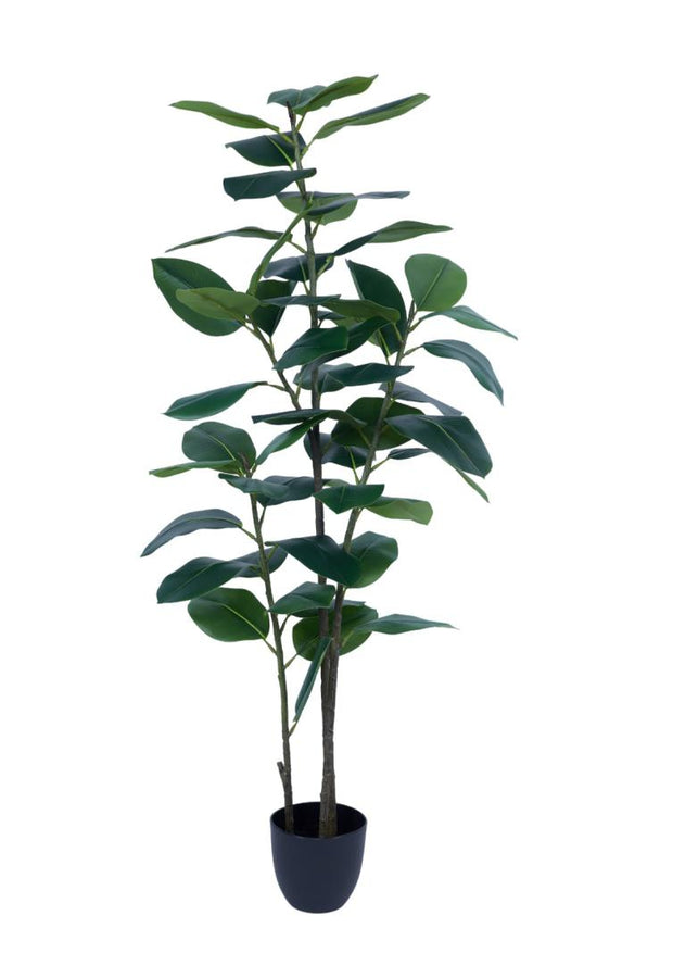 160cm 3 Head 5 Leaves Rubber Tree In Pot