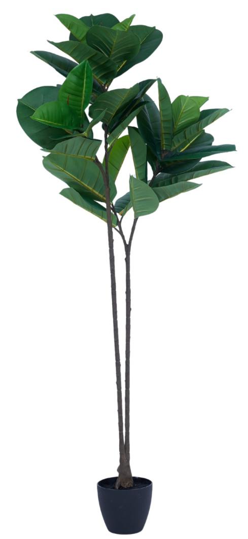 1.3m 2 Head 32 Leaves Rubber Tree In Pot
