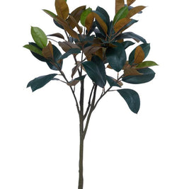 1.5m 7 Fork 64 Leaves Rubber Tree In Pot