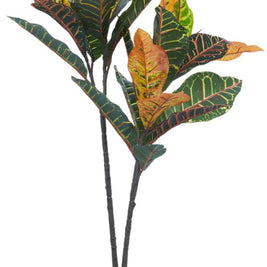 1m 2 Head 32 Leaves Croton Plant In Pot