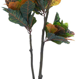 1.3m 2 Head 90 Leaves Croton Plant In Pot