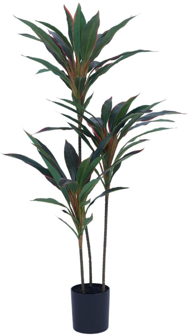 95cm 3 Head Red Green Dracenna Leaves Plant In Pot