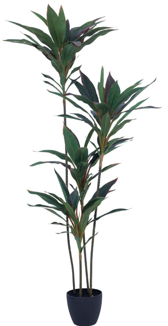 1.2m 4 Head Red Green Dracenna Leaves Plant In Pot