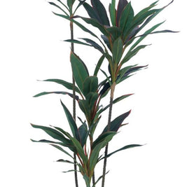 1.2m 4 Head Red Green Dracenna Leaves Plant In Pot