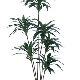 1.5m 6 Head Fat Green Dracenna Leaves Plant In Pot