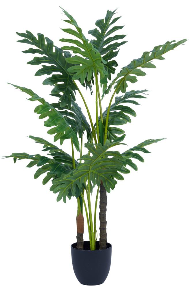 1.2m Jumbo Papayya Leaves Plant In Pot