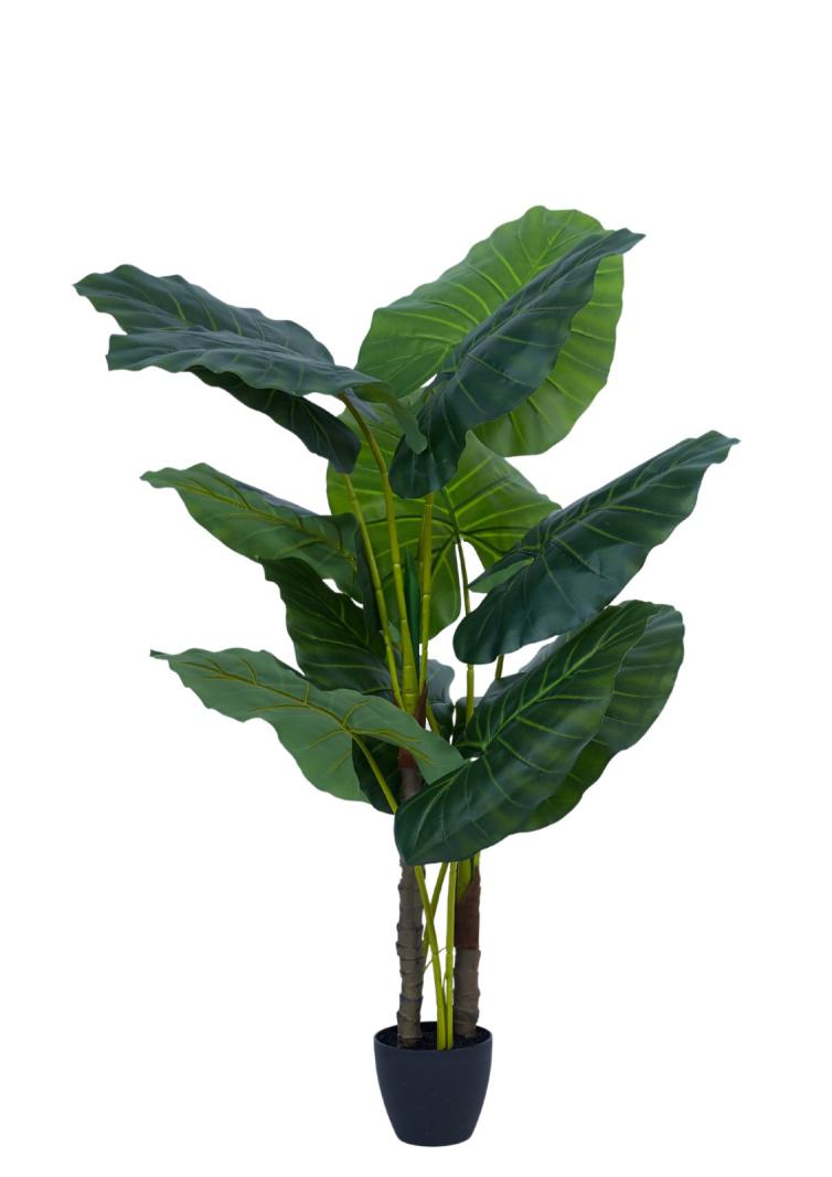 1.2m Jumbo Green Elephant Leg Leaves Plant In Pot