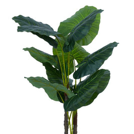 1.2m Jumbo Green Elephant Leg Leaves Plant In Pot