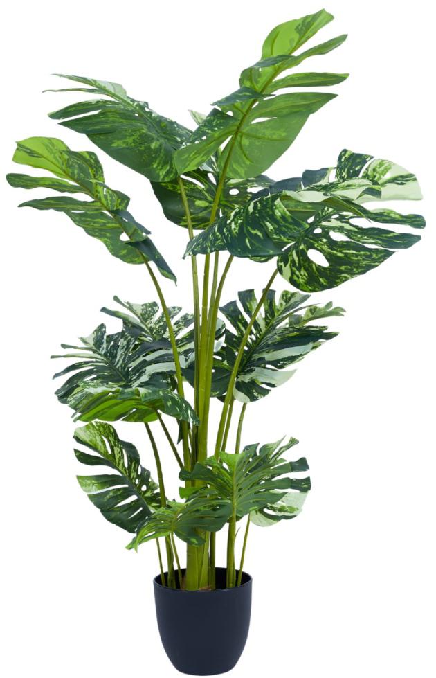 1.2m White Green Monsterra Leaves Plant In Pot