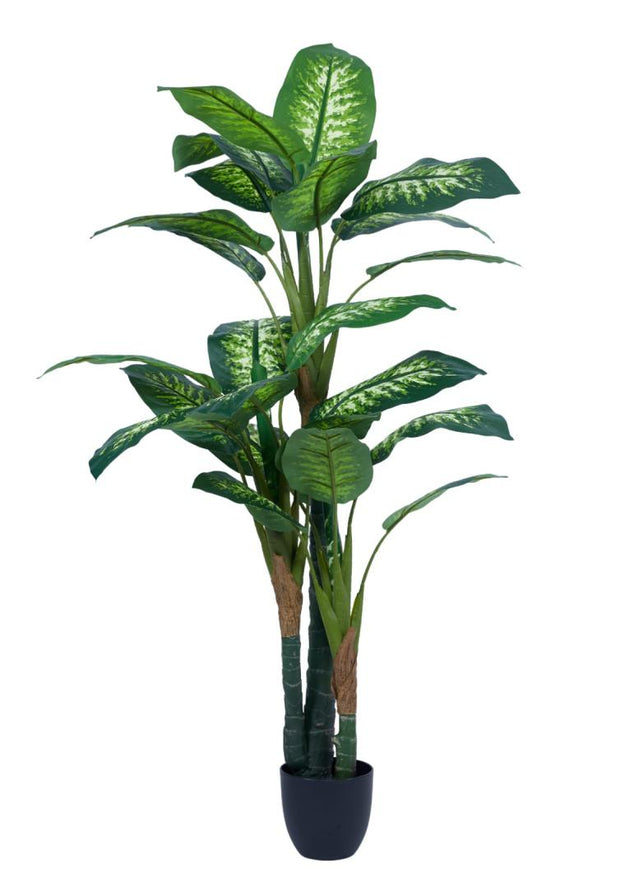 160cm 3 Head Diffen Bamboo Plant In Pot