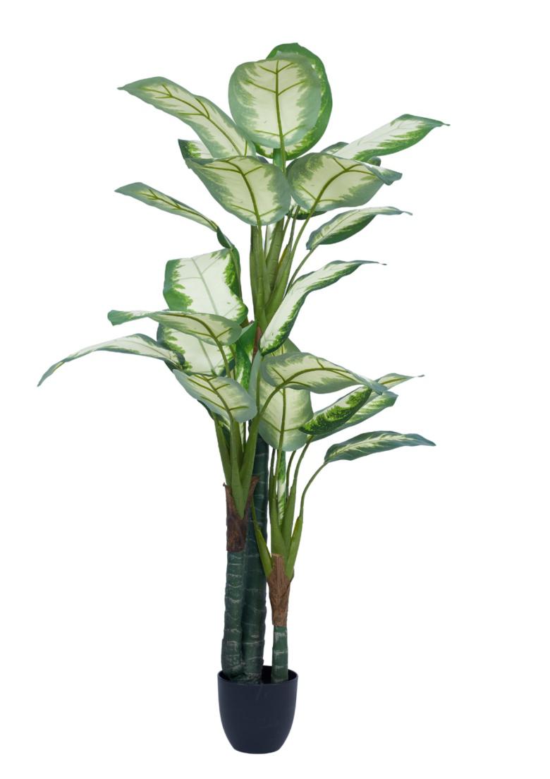 160cm 3 Head White Diffen Bamboo Plant In Pot