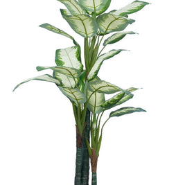 160cm 3 Head White Diffen Bamboo Plant In Pot