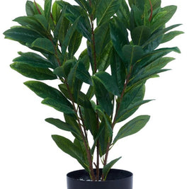 90cm 5 Stem 125 Green Croton Leaves Plant