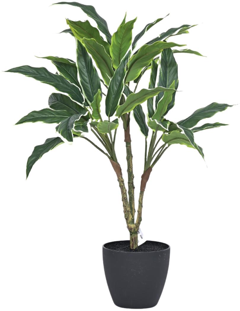 70cm 3 Head Green Dracenna Leaves Plant In Pot