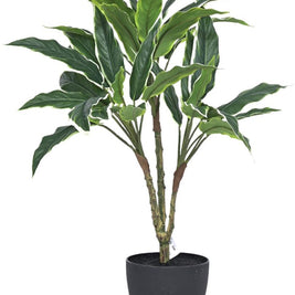 70cm 3 Head Green Dracenna Leaves Plant In Pot