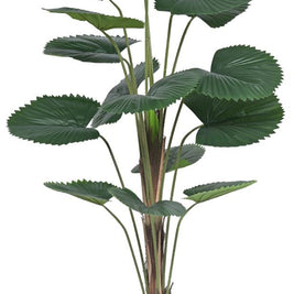140cm 16 Fan Palm Leaves In Pot