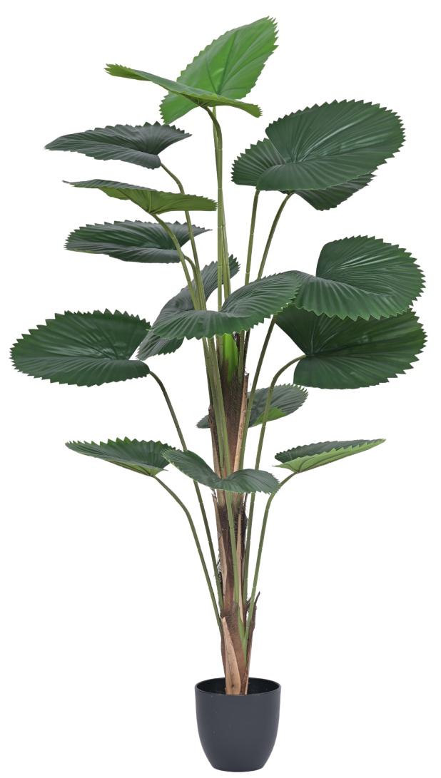 140cm 16 Fan Palm Leaves In Pot