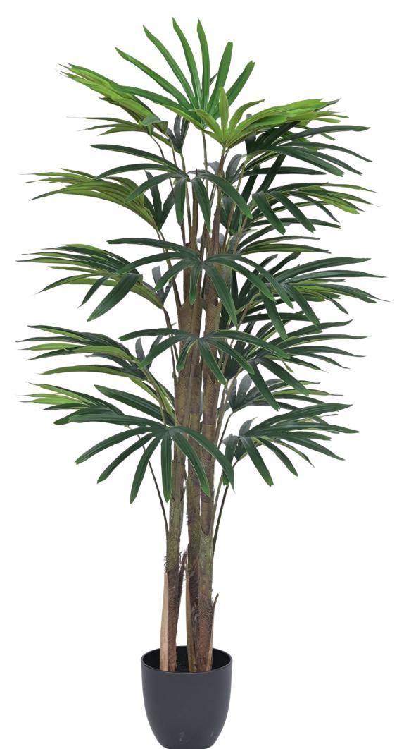 125cm 3 Stem Raphis Leaves Plant In Pot